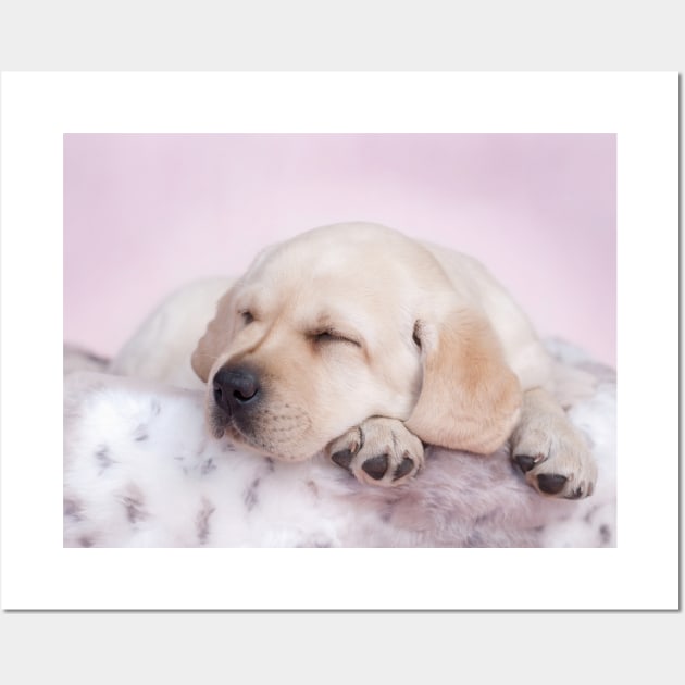 Sleeping labrador Wall Art by PetsArt